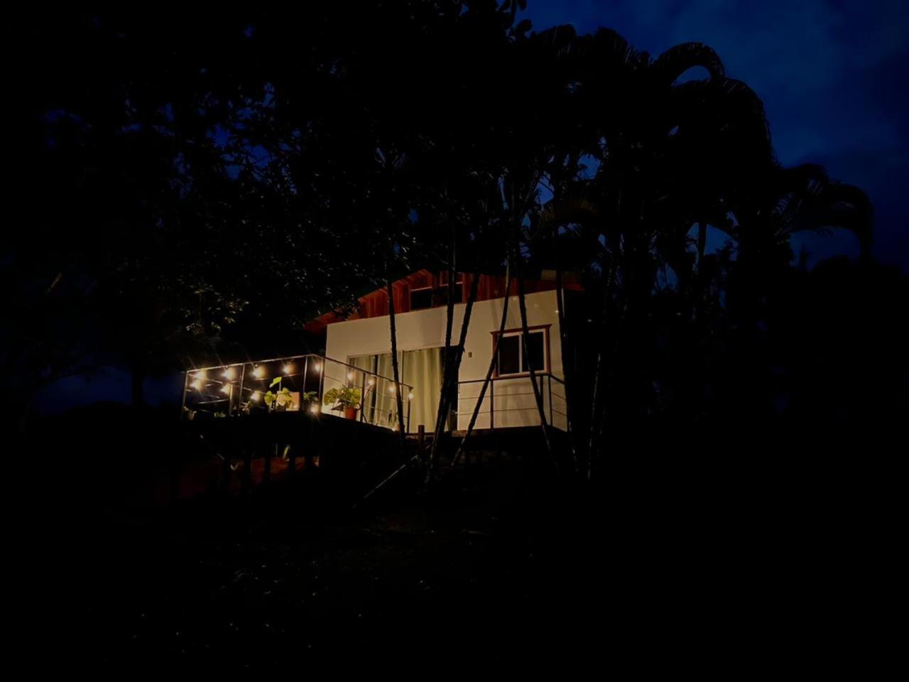 Ficus House Daire Boca Tapada Dış mekan fotoğraf