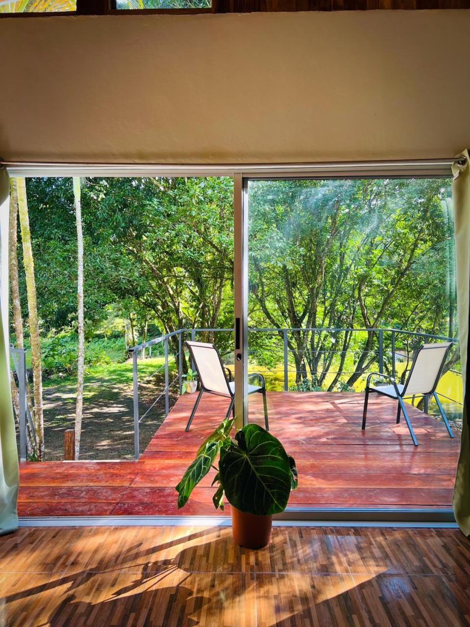Ficus House Daire Boca Tapada Dış mekan fotoğraf